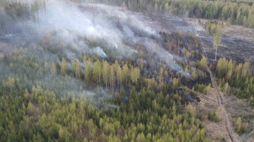 Lubuskie: Najwyższy stopień zagrożenia pożarowego w lasach