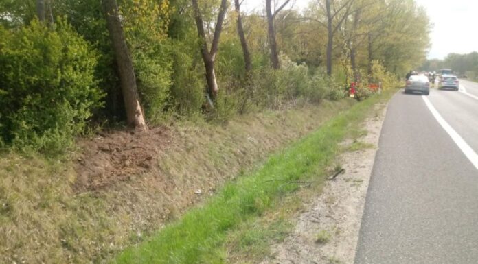 Śmiertelny wypadek na drodze W352 Zgorzelec-Bogatynia