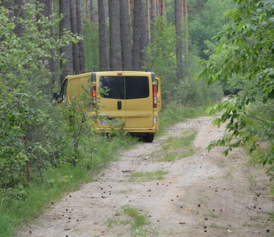 Tona nielegalnego tytoniu porzucona w lesie