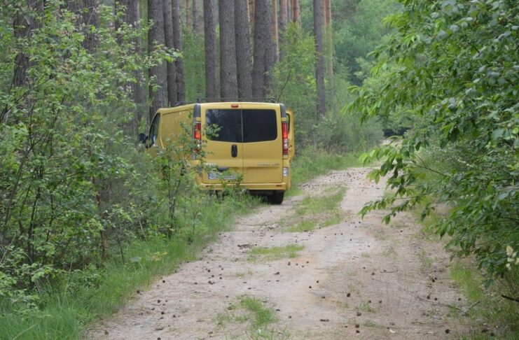 Tona nielegalnego tytoniu porzucona w lesie