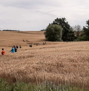 Udana akcja poszukiwawcza. Zaginiony 70-latek odnaleziony, mężczyzna leżał w polu