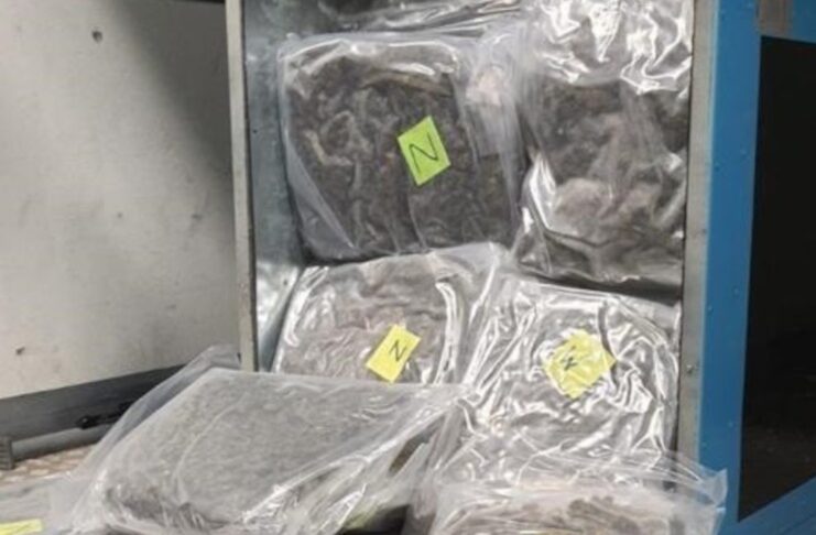 Pies wytropił narkotyki warte 6,5 mln zł. Były ukryte w pompach ciepła