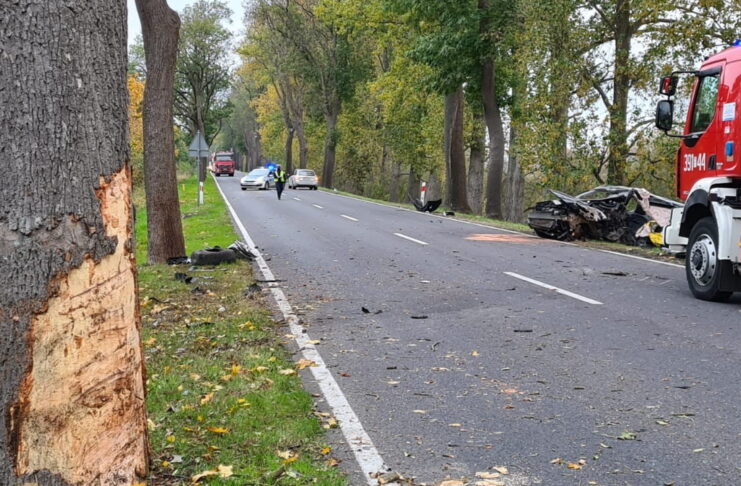 Wypadek na krajowej 22. Samochód uderzył w przydrożne drzewo