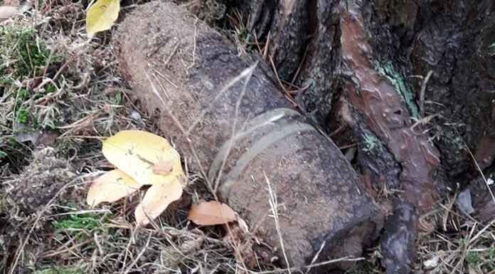 3 niewybuchy w Świebodzinie w ciągu miesiąca. Znalazłeś? Zareaguj odpowiedzialnie niewybuchy w Świebodzinie