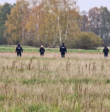 Poszukiwania Stanisławy Pałko. Policja zwraca się do kierowców o nagrania z kamer samochodowych Poszukiwania Stanisławy Pałko