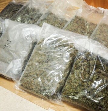 Bagażnik wypełniony marihuaną. Narkotyki były warte 500 tys. złotych Marihuana