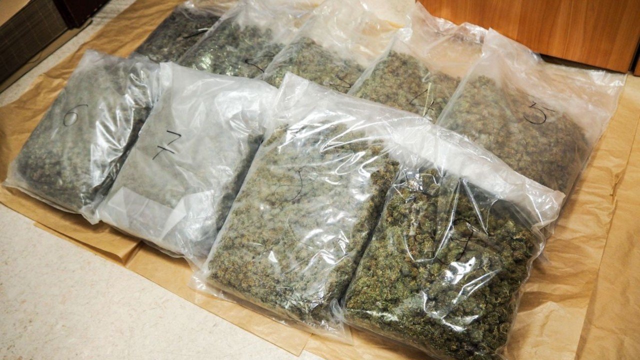 Bagażnik wypełniony marihuaną. Narkotyki były warte 500