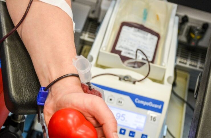 Zbiórka krwi w Krośnie Odrzańskim. Gdzie oddać krew w Krośnie Odrzańskim w sobotę 12.12.? Oddawanie krwi