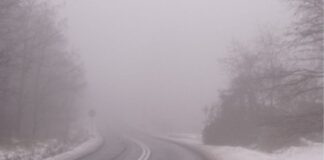 Mgła na drodze