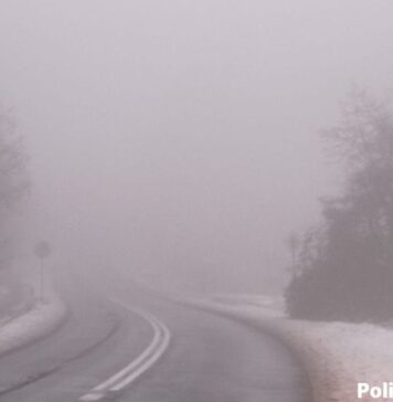 Mgła na drodze