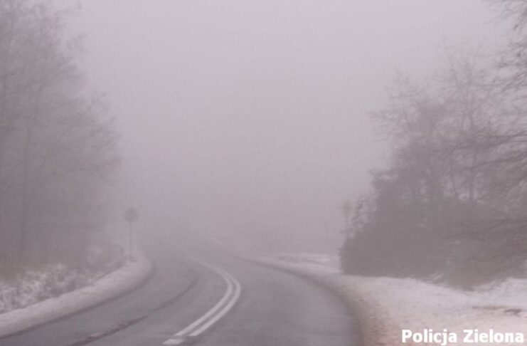 Trudne warunki na drogach. Policja apeluje o ostrożność Mgła na drodze