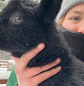Uczennica Antonia Kolar z owieczką Lotte