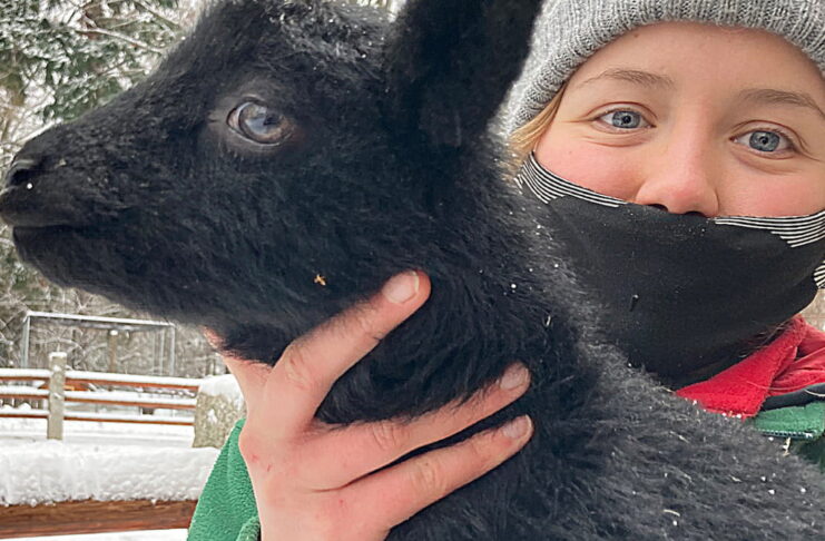 Uczennica Antonia Kolar z owieczką Lotte
