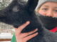 Młodziutka owca pomorska „Lotte” przyszła na świat w Naszym Zoo Uczennica Antonia Kolar z owieczką Lotte