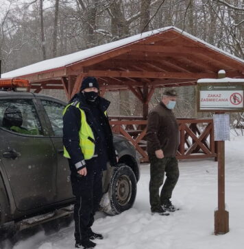 Cybinka: Akcja Wieniec przeciw amatorom jeleniego poroża Akcja Wieniec w Cybince