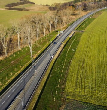 Obwodnica Wschowy i Dębowej Łęki. Przetarg za 4 lata Drogaq