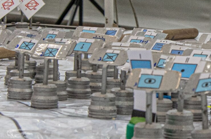 w Świętoszowie - Kuna-21