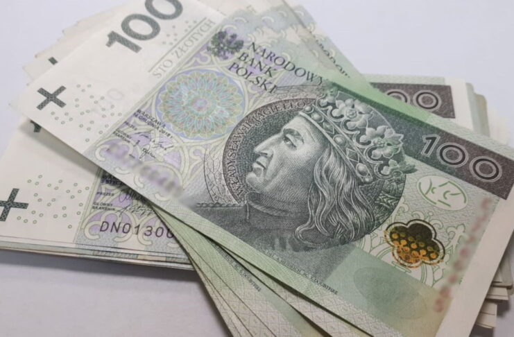 Wyłudziła dofinansowanie na rozpoczęcie działalności gospodarczej. Przedsiębiorczej 22-latce grozi nawet 5 lat więzienia Pieniądze