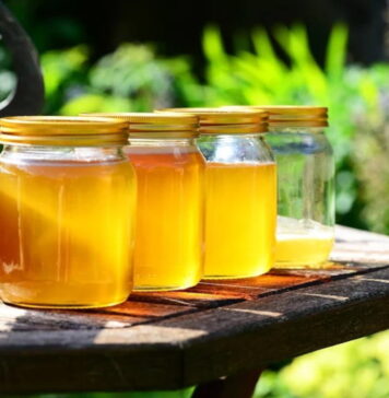 Lubomyśl: Kradł pszczołom miód Miód