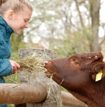 ZOO Görlitz ponownie otwarte. Czego mogą się spodziewać goście od 15 marca? ZOO Goerlitz ponownie otwarte