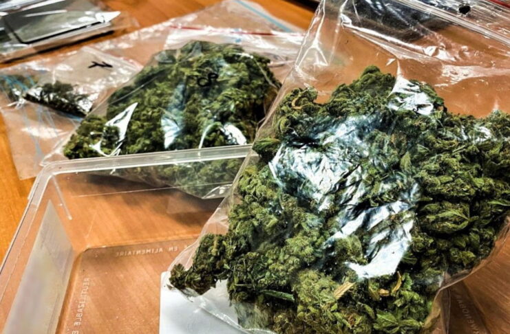 Marihuana w strunówkach