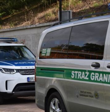 Polsko-niemieckie patrole zatrzymały obcokrajowców naruszających przepisy migracyjne Straż Graniczna i Polizei