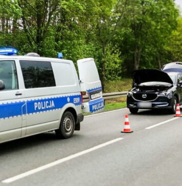 Pościg w Dzikowie i Połupinie