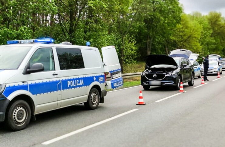 Pościg w Dzikowie i Połupinie