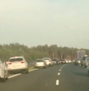 Korytarz życia na S3 w rejonie Międzyrzecza