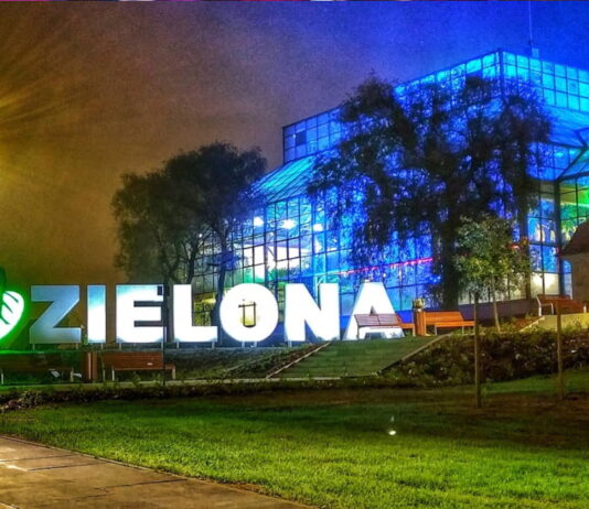TOP 10 najbardziej zielonych dużych miast w Polsce. Zielona Góra w czołówce rankingu Napis Zielona Góra na wzgórzu winnym