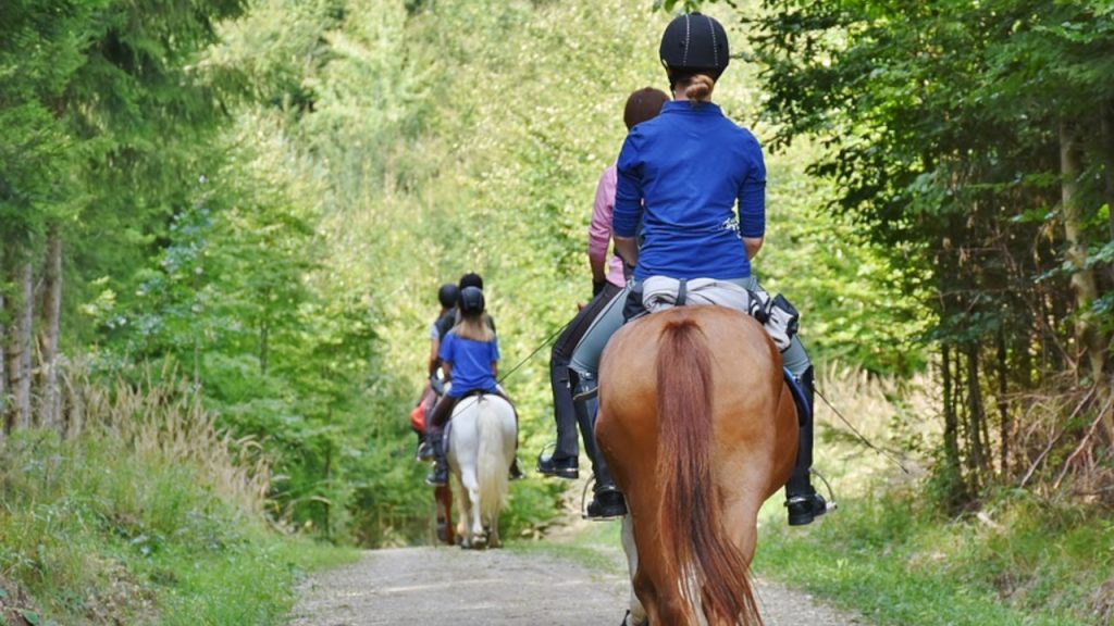 Jeździectwo i turystyka konna w Lubuskiem budzi coraz większe zainteresowanie