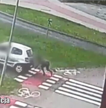 Potrącenie rowerzystki w Zielonej Górze