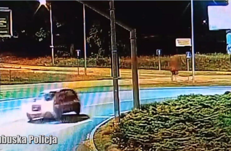 Potrącenie rowerzysty na rondzie PCK, Zielona Góra