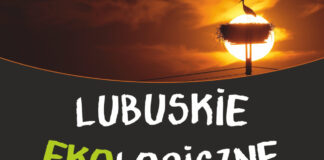 Plakat konkursu Lubuskie EKOlogiczne
