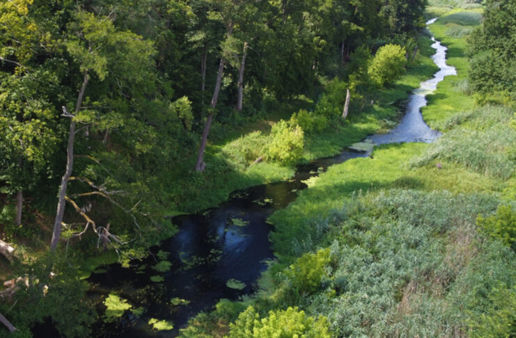 Rezerwat Lemierzyce i Dolina Postomii