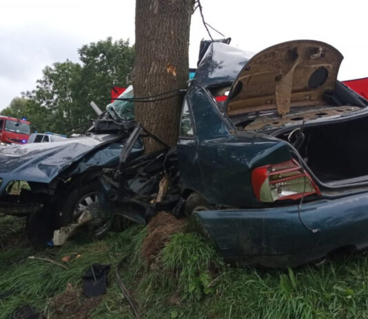 Śmiertelny wypadek koło Kostrzyna nad Odrą. Policja szuka świadków zdarzenia na DK22 Śmiertelny wypadek koło Kostrzyna nad Odrą, 25 września 2021