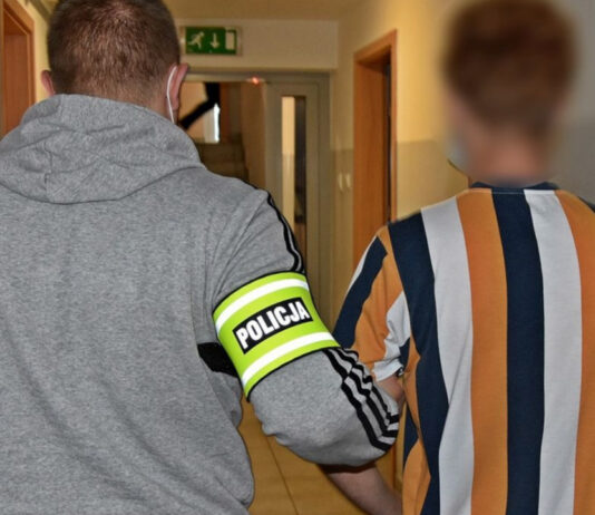 Dobiegniew: Grzyby halucynogenne, marihuana i krzewy konopi. 27-latek z zarzutami Dobiegniew: Grzyby halucynogenne, marihuana i krzewy konopi. 27-latek z zarzutami