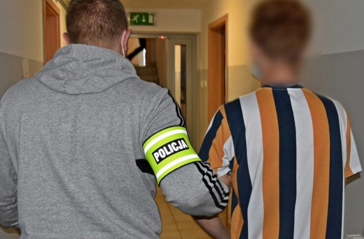 Dobiegniew: Grzyby halucynogenne, marihuana i krzewy konopi. 27-latek z zarzutami