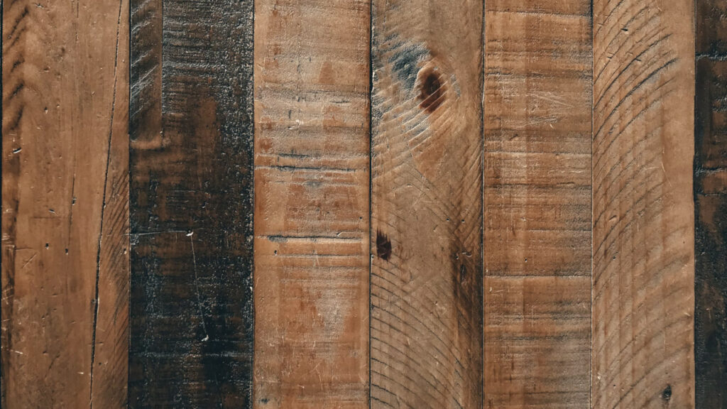 1000 słów o budownictwie: Drewno. Inżynier opowiada