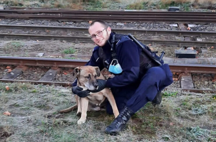 Wschowa: Policjanci uratowali psa, który wpadł do głębokiego wykopu Policjanci uratowali psa z głębokiego wykopu