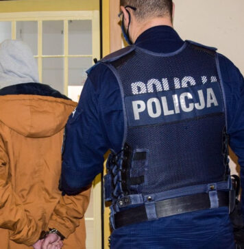 Strzelali do aut z wiatrówki