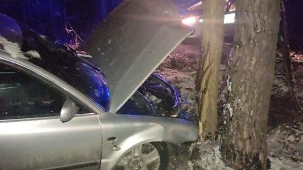 Wypadł z drogi i rozbił auto o drzewo. W takim stanie w ogóle nie powinien siadać za kierownicą!