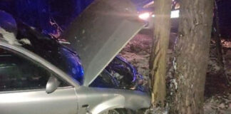 Zielona Góra, pijany obywatel Ukrainy rozbił się na drzewie