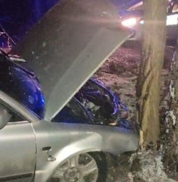 Wypadł z drogi i rozbił auto o drzewo. W takim stanie w ogóle nie powinien siadać za kierownicą! Zielona Góra, pijany obywatel Ukrainy rozbił się na drzewie