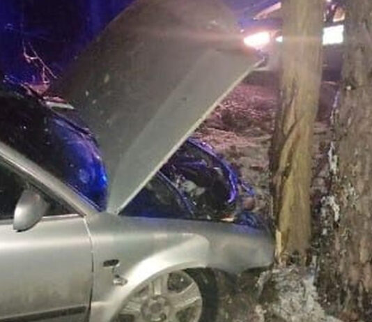 Zielona Góra, pijany obywatel Ukrainy rozbił się na drzewie