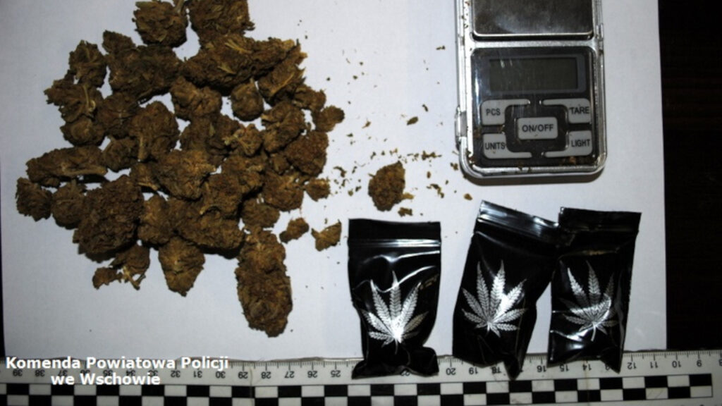 17-latek zatrzymany za posiadanie narkotyków. W jego mieszkaniu znaleziono 200 porcji marihuany
