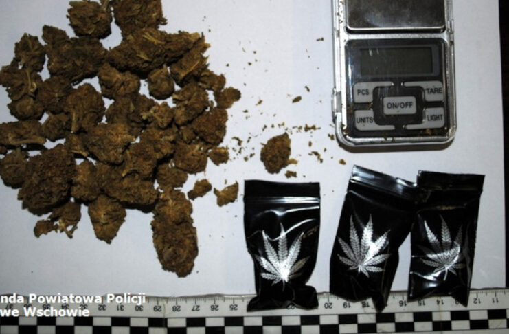 17-latek zatrzymany za posiadanie narkotyków. W jego mieszkaniu znaleziono 200 porcji marihuany Marihuana