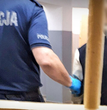 Uszkodzenie szopki bożonarodzeniowej w Jasieniu