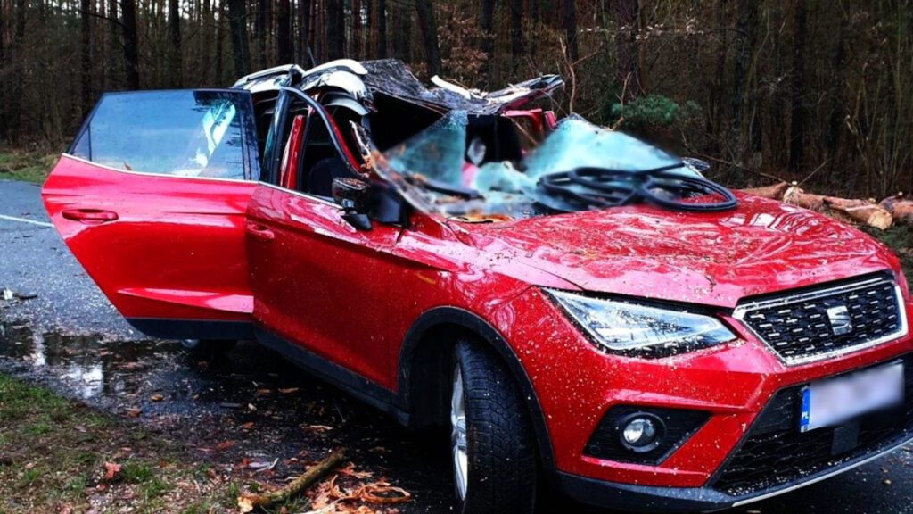 Orkan Dudley powalił drzewo na jadący samochód. Kierowca nie przeżył