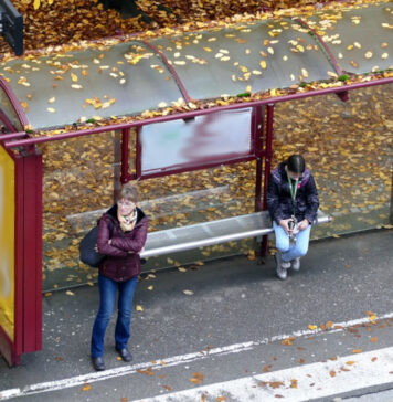 Od 1 marca zostaną zawieszone kursy autobusów w Gminie Żary. Sprawdź które i do kiedy Przystanek autobusowy